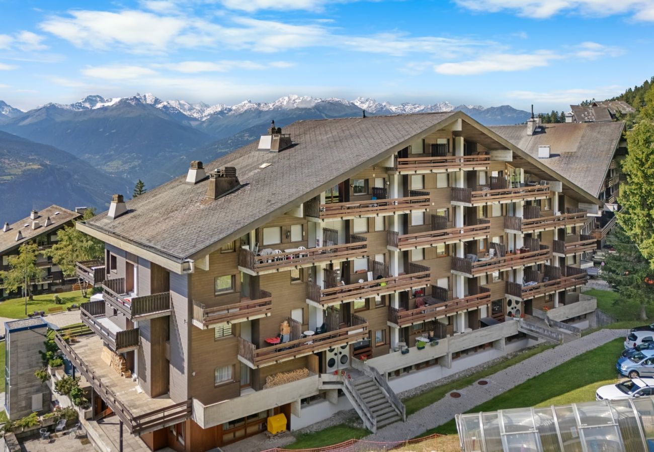 Ferienwohnung in Anzère - AV11 202