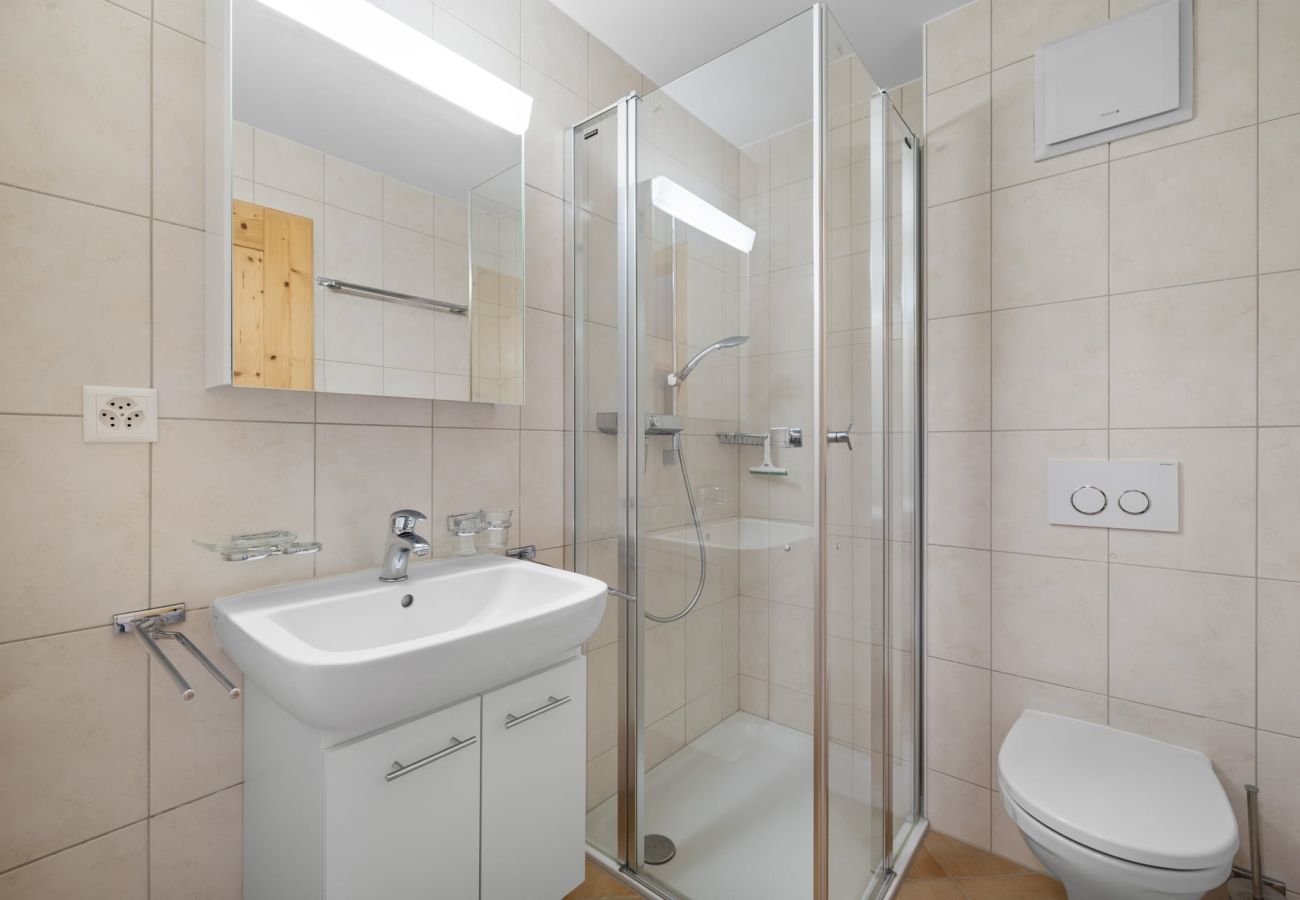 Ferienwohnung in Anzère - Plein Ciel 2