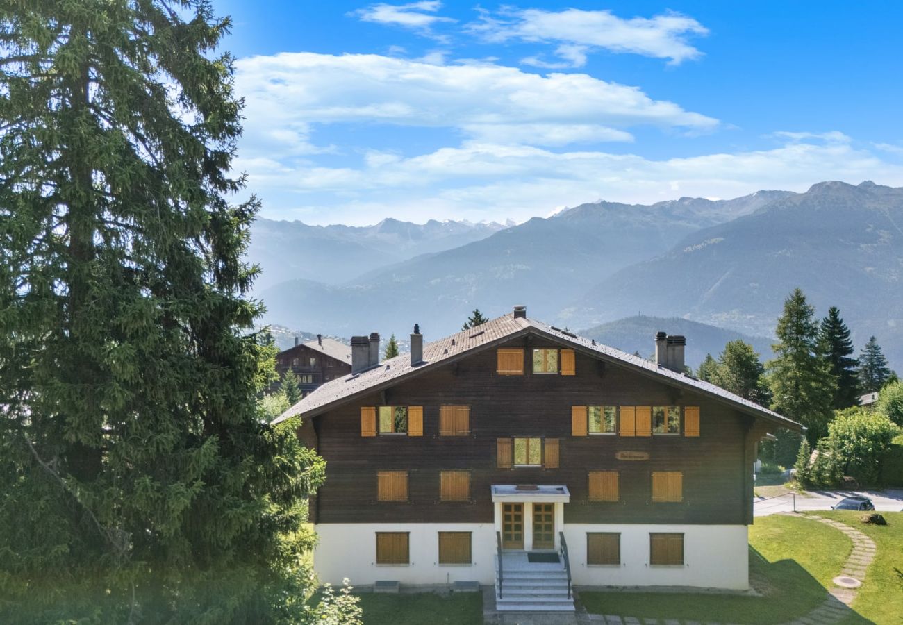 Ferienwohnung in Anzère - Rocheneige 19