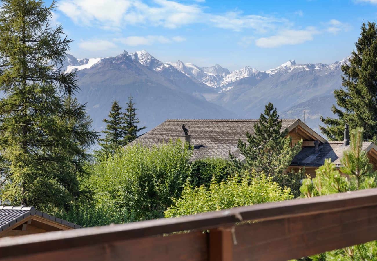 Ferienwohnung in Anzère - Rocheneige 19