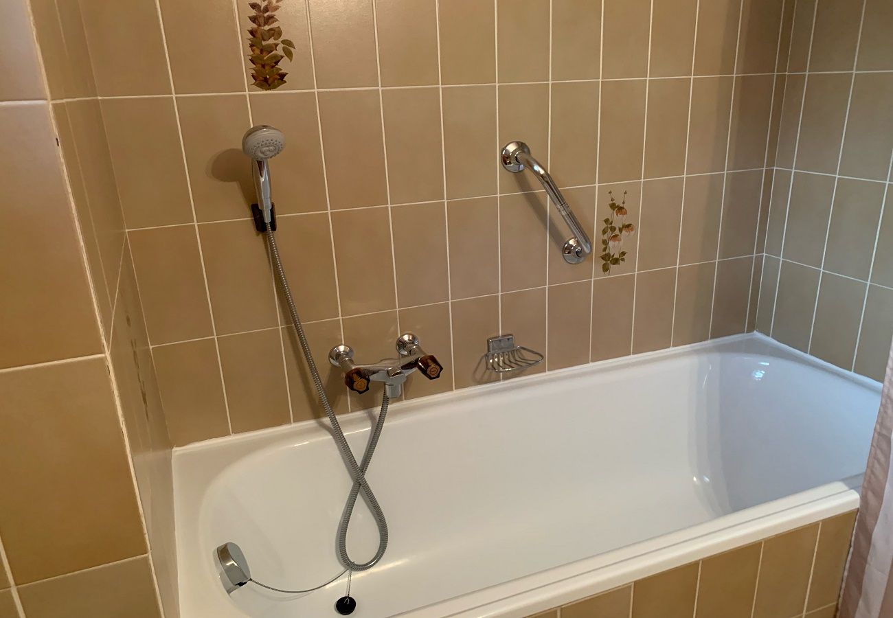 Ferienwohnung in Anzère - Asters 24