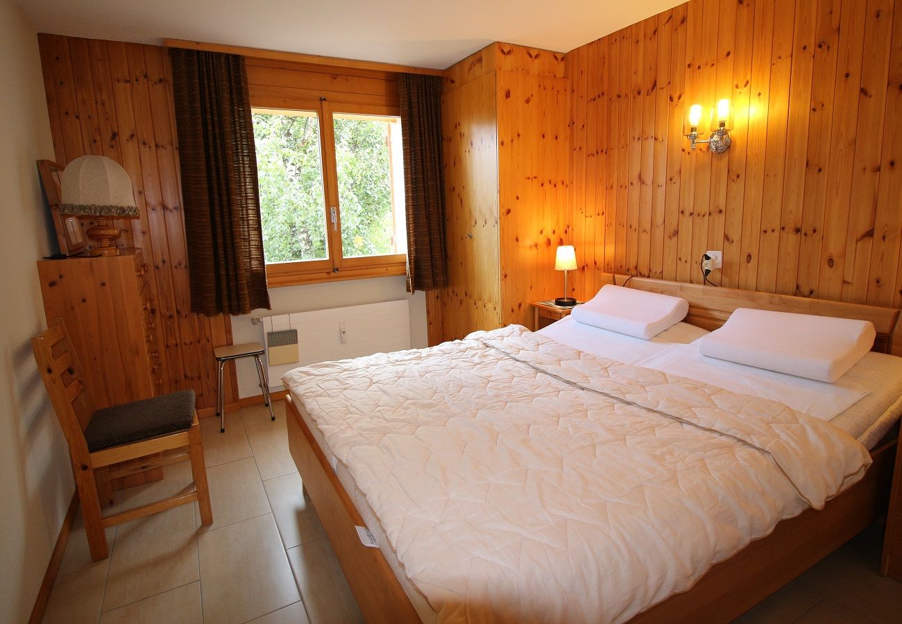 Ferienwohnung in Anzère - Asters 24