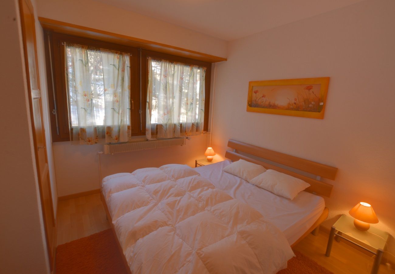 Ferienwohnung in Anzère - AV3 208