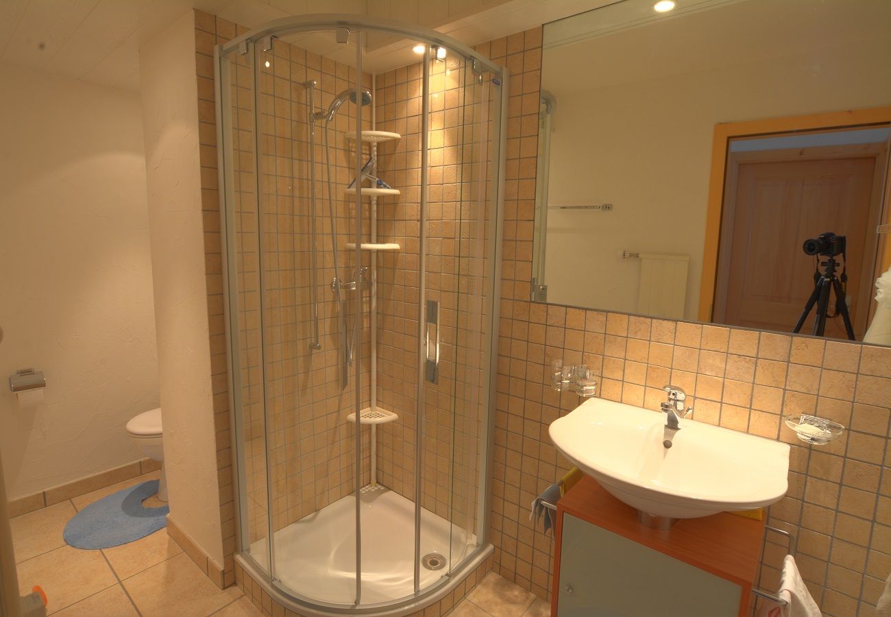 Ferienwohnung in Anzère - AV3 208