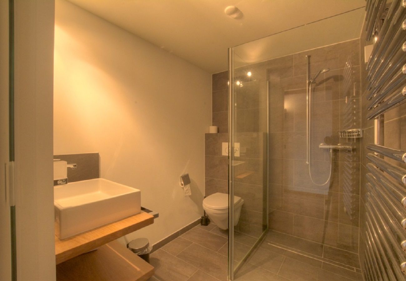 Ferienwohnung in Anzère - AV3 309