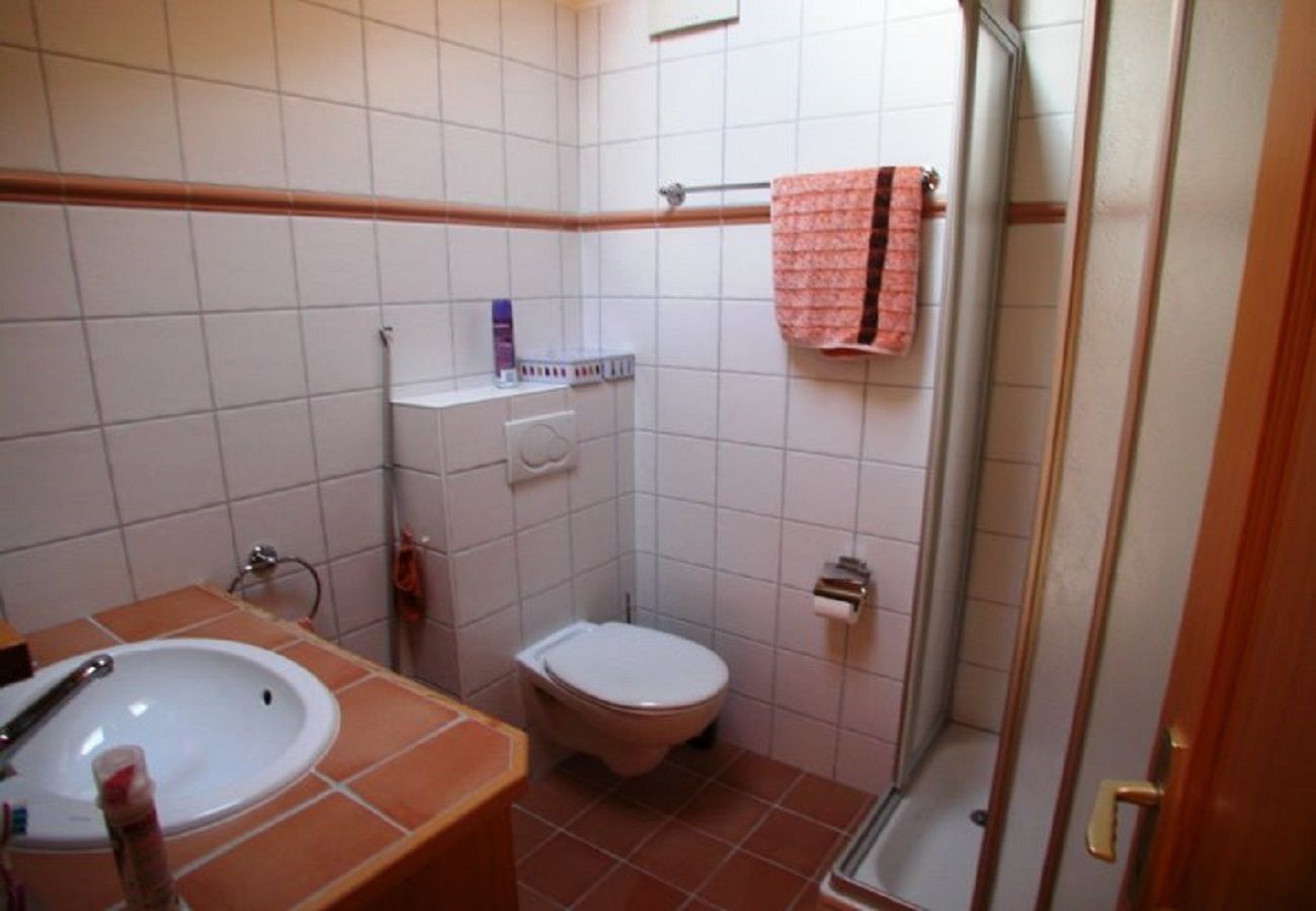 Ferienwohnung in Anzère - Trembles E6