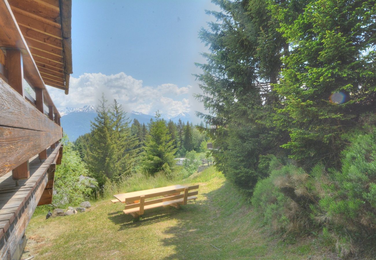 Chalet in Anzère - Zoé