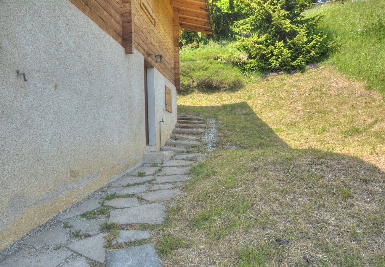 Chalet in Anzère - Zoé
