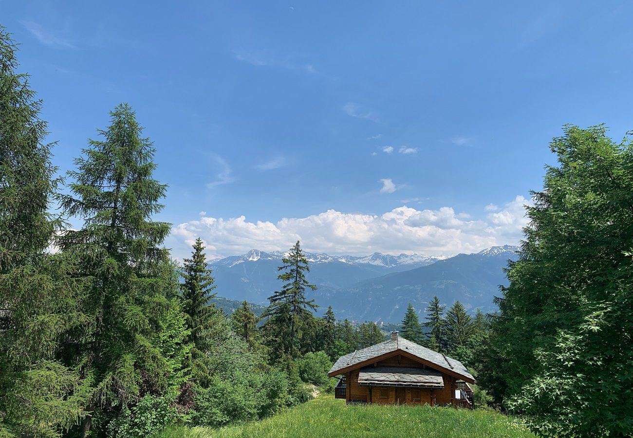 Ferienwohnung in Anzère - Edelweiss F 805