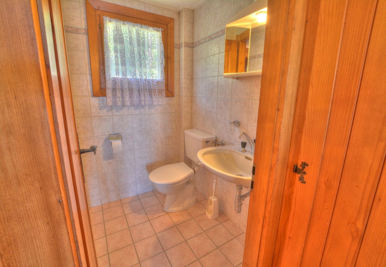 Chalet in Anzère - Clarine