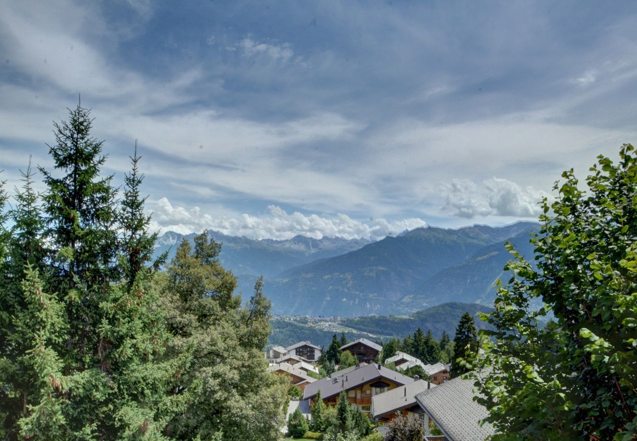Chalet in Anzère - Cytises