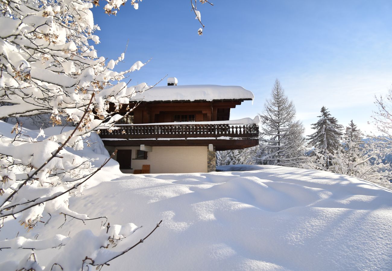 Chalet in Anzère - Dix  loups