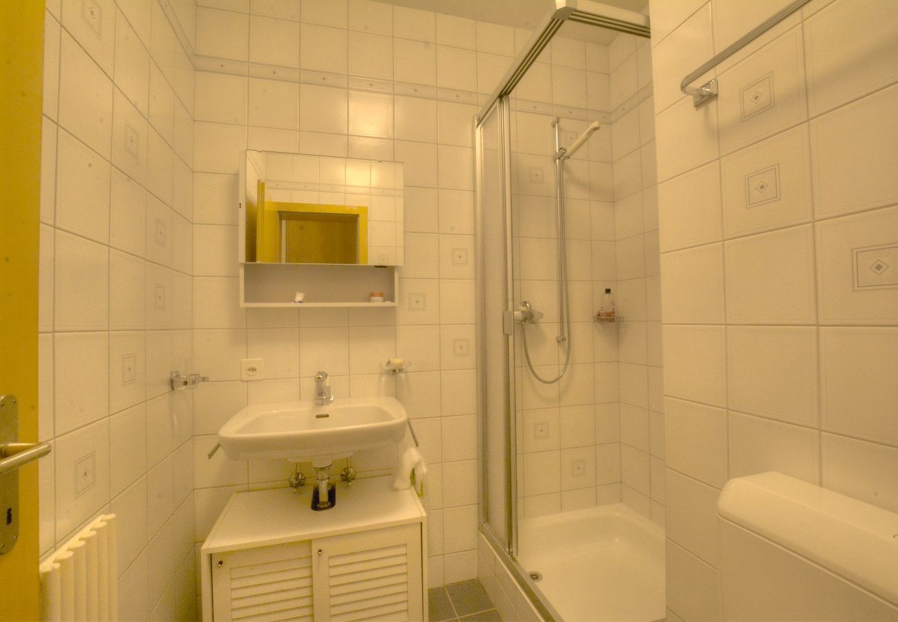 Ferienwohnung in Anzère - Rosalp RS 1