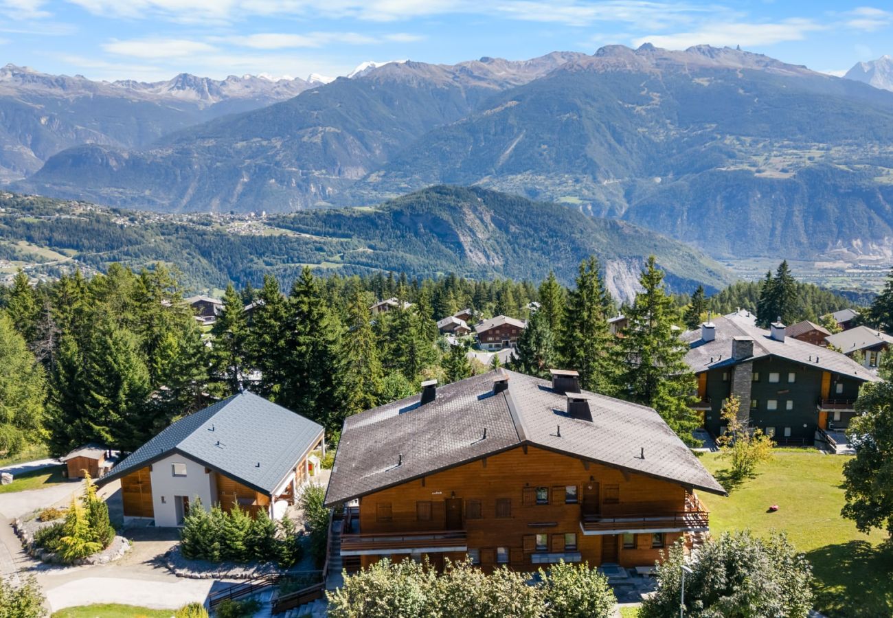 Ferienwohnung in Anzère - Veranoncelle 1