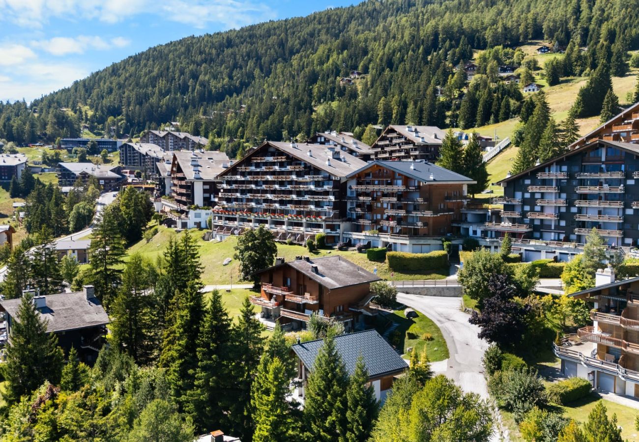 Ferienwohnung in Anzère - Veranoncelle 1