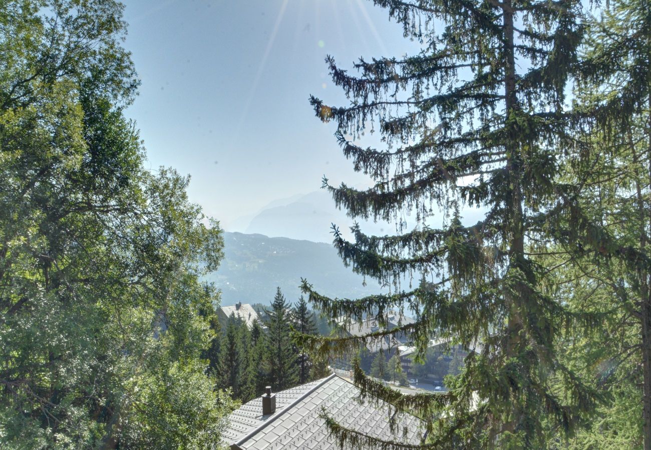 Chalet in Anzère - Gopaja