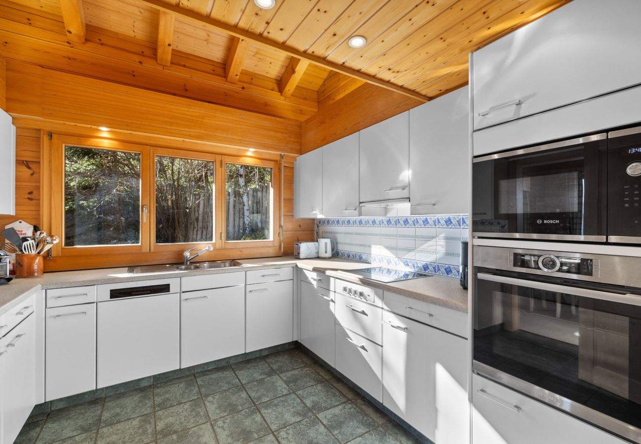 Chalet in Anzère - La Frenaie