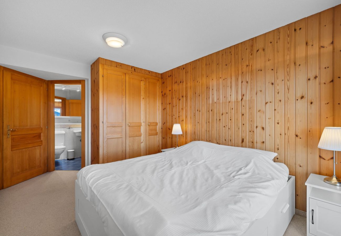 Chalet in Anzère - La Frenaie