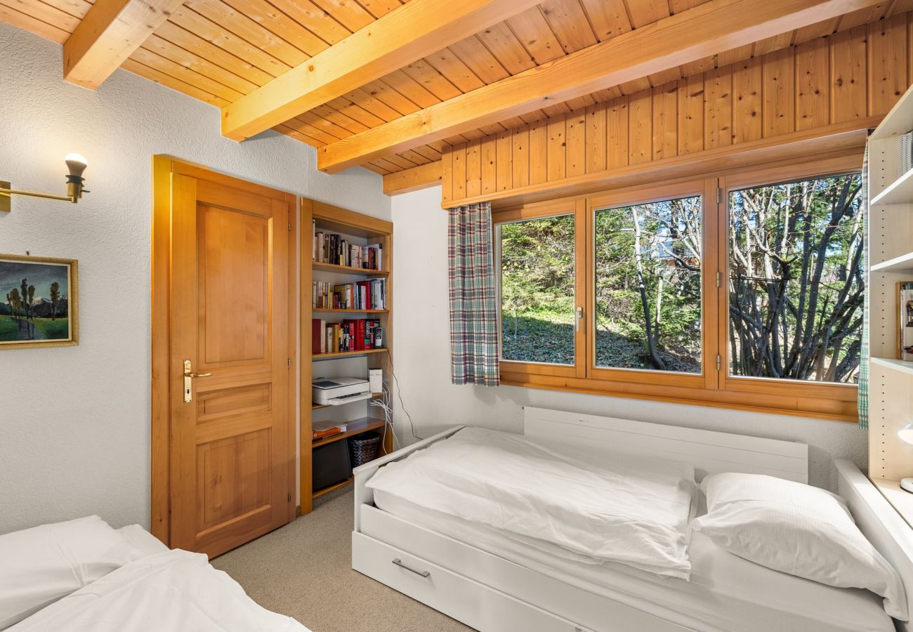 Chalet in Anzère - La Frenaie