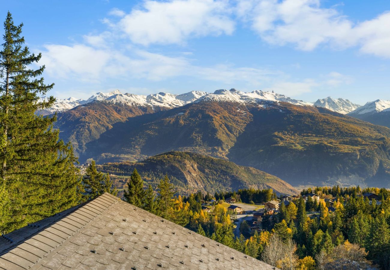 Chalet in Anzère - La Frenaie