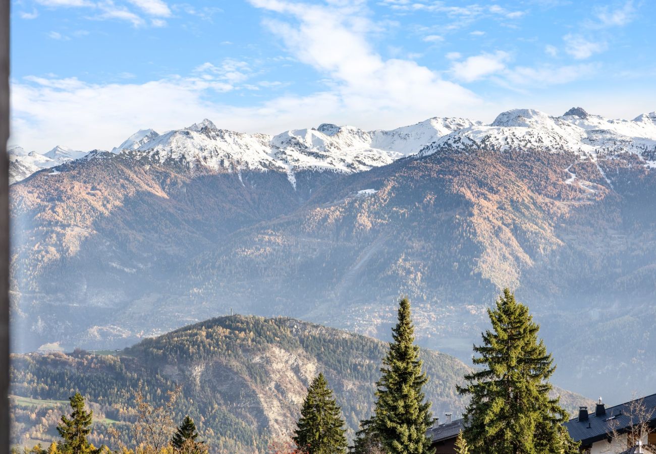 Ferienwohnung in Anzère - AV6 T06