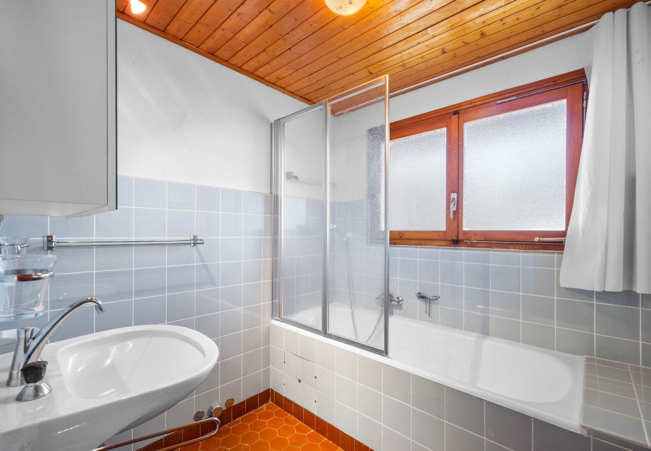 Chalet in Anzère - Praz da Luys