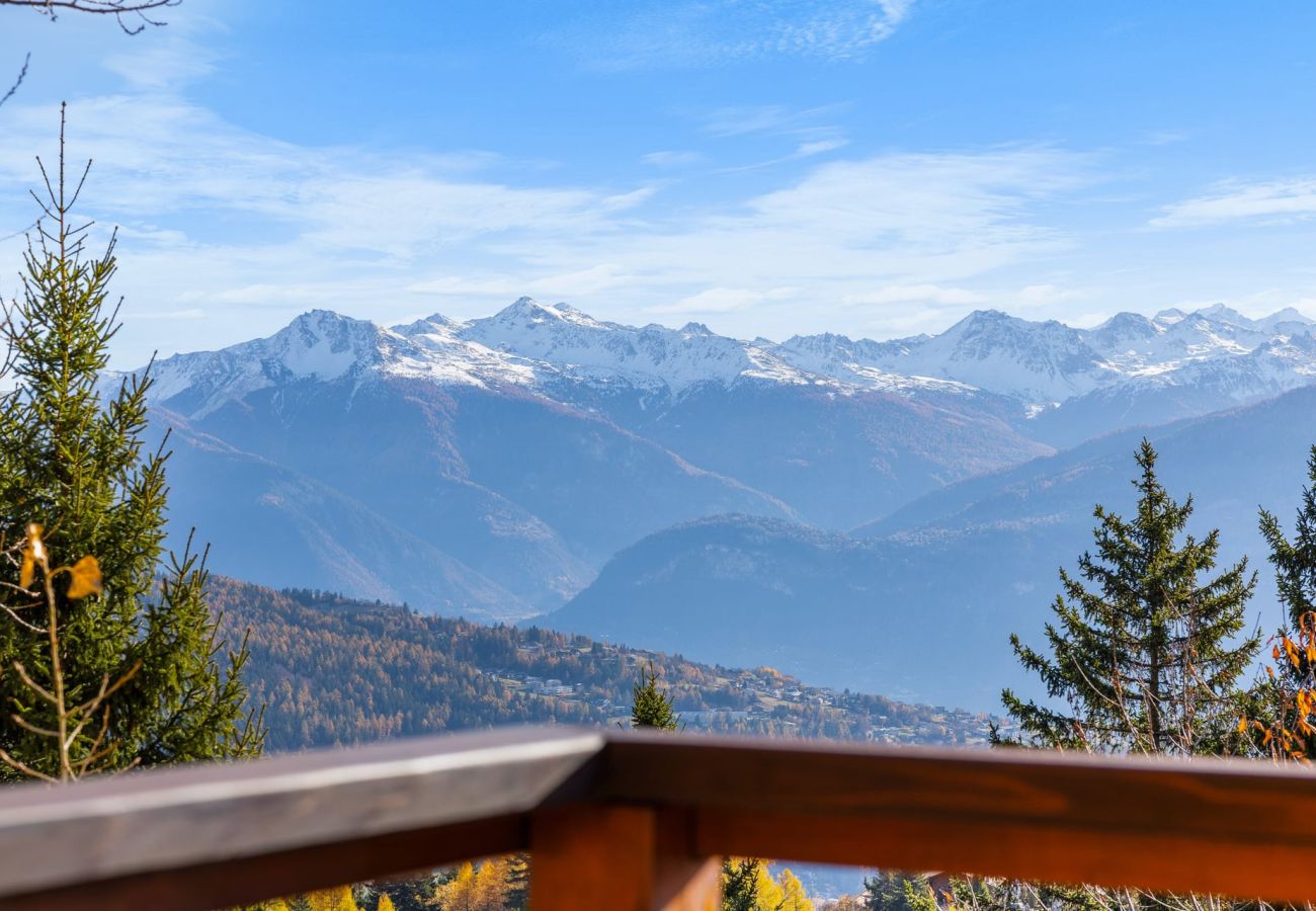 Chalet in Anzère - Praz da Luys