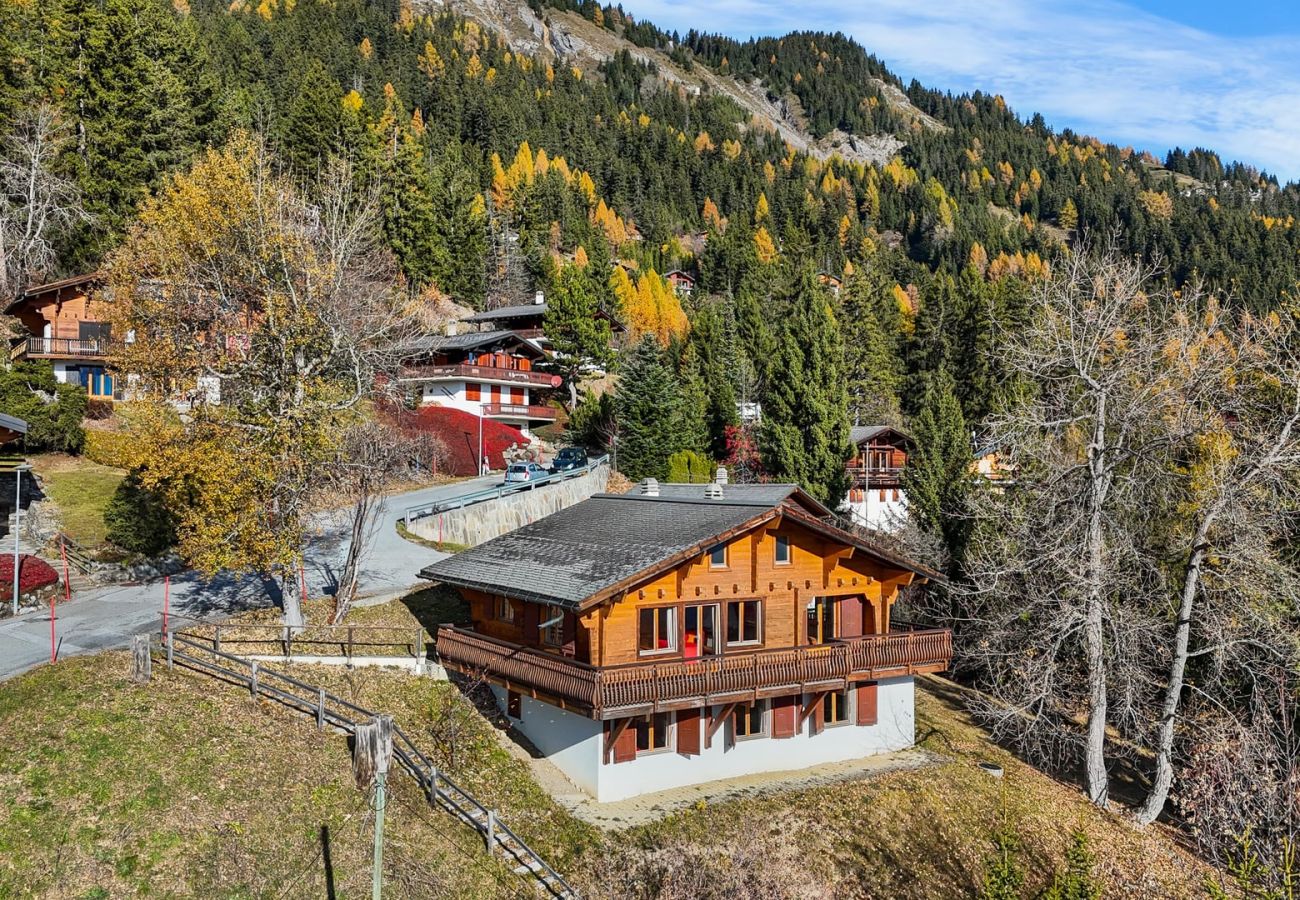 Chalet in Anzère - Praz da Luys