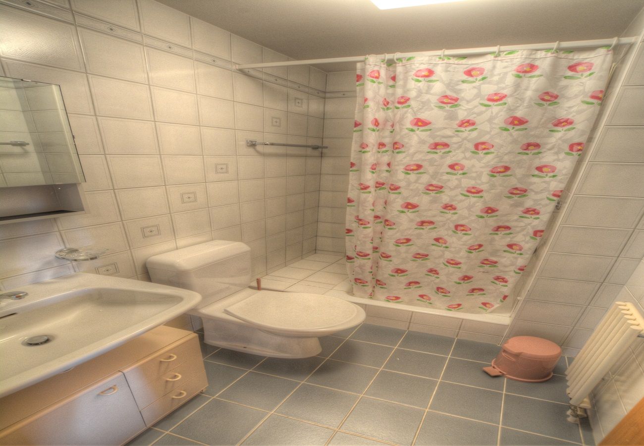 Ferienwohnung in Anzère - Rosalp 106