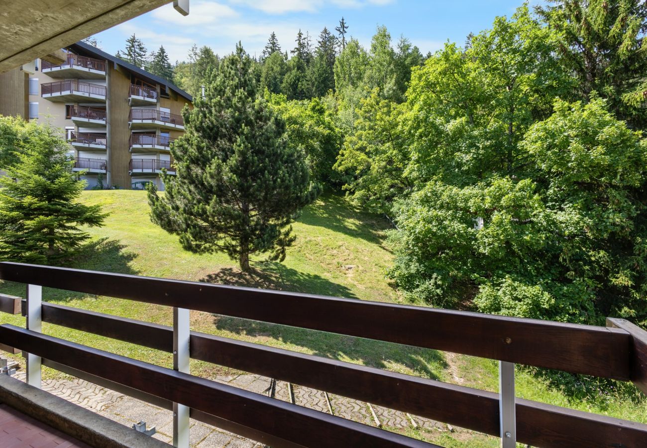 Studio in Anzère - Emeraudes 403