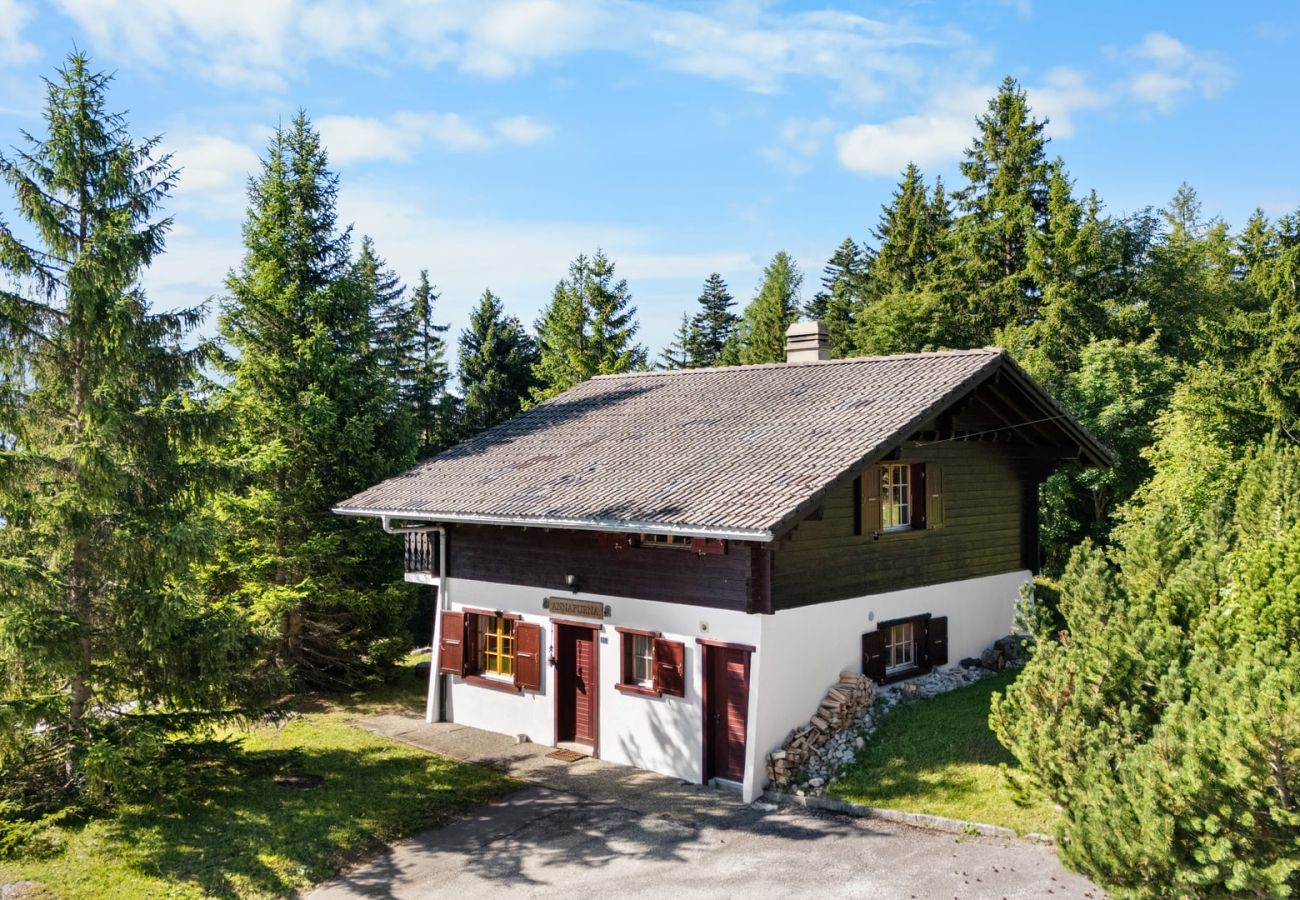 Chalet in Anzère - Annapurna