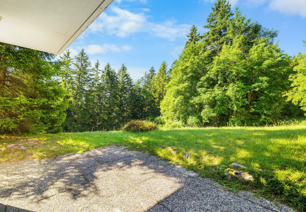 Chalet in Anzère - Annapurna