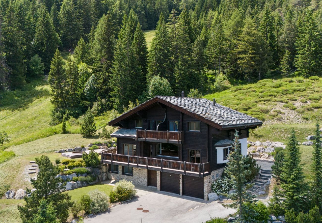 Chalet in Anzère - Noir