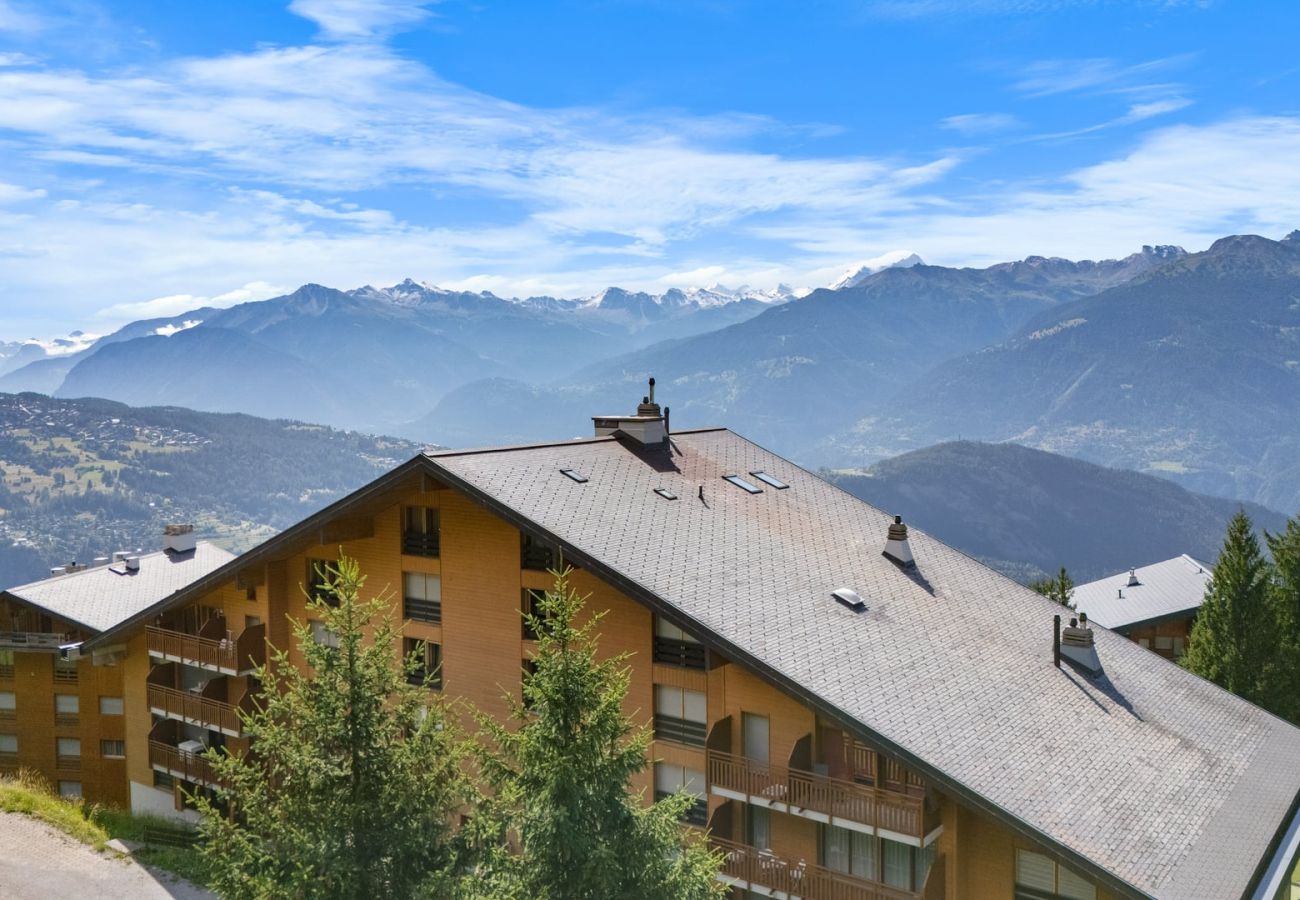 Apartment in Anzère - AV15 010