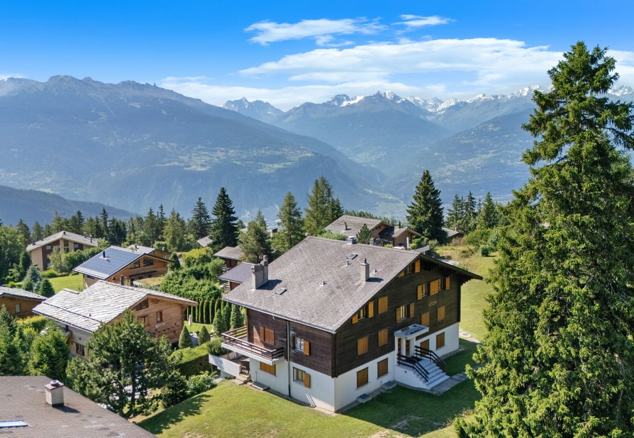 Apartment in Anzère - Rocheneige 19