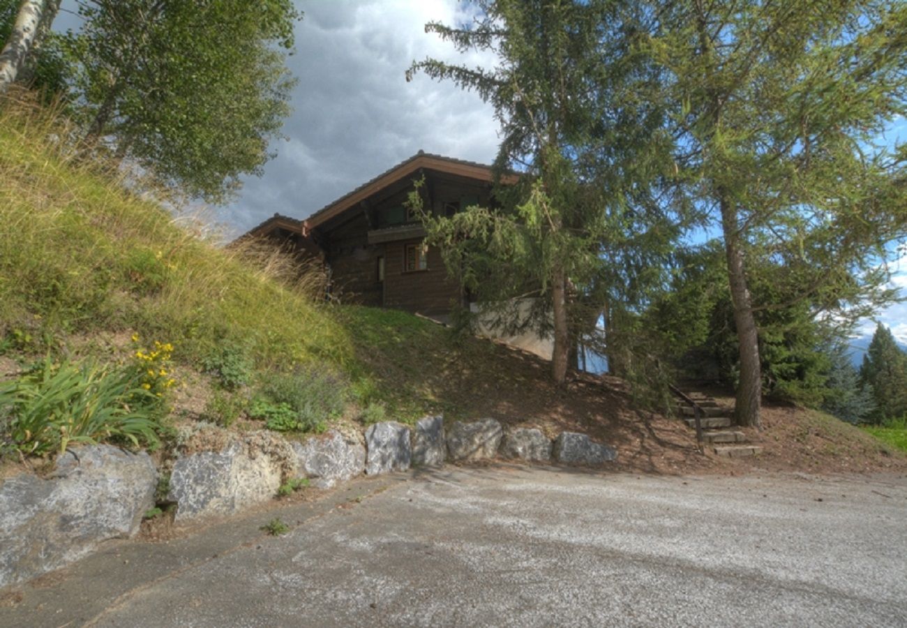 Chalet in Anzère - Féline