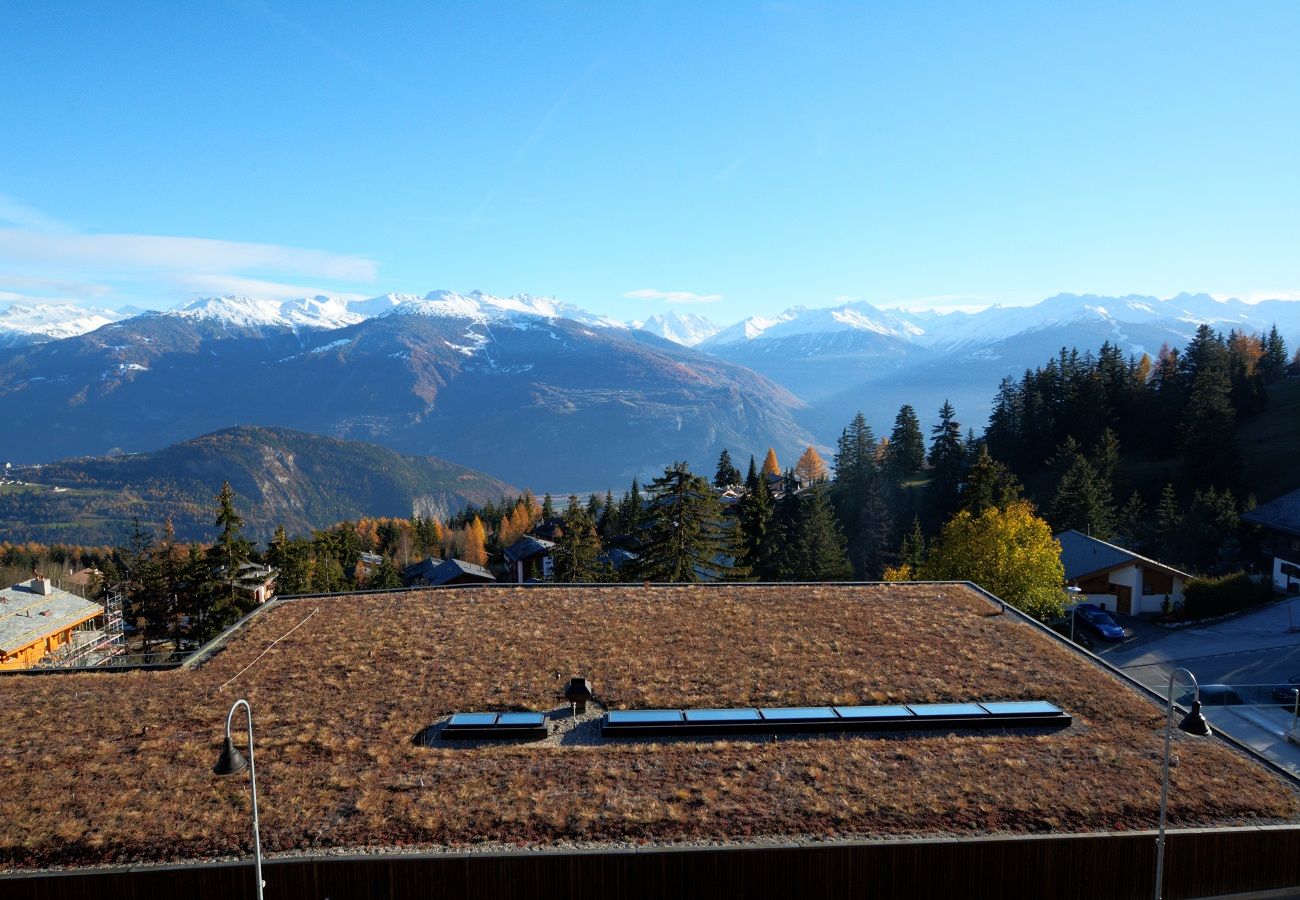 Apartment in Anzère - AV3 309