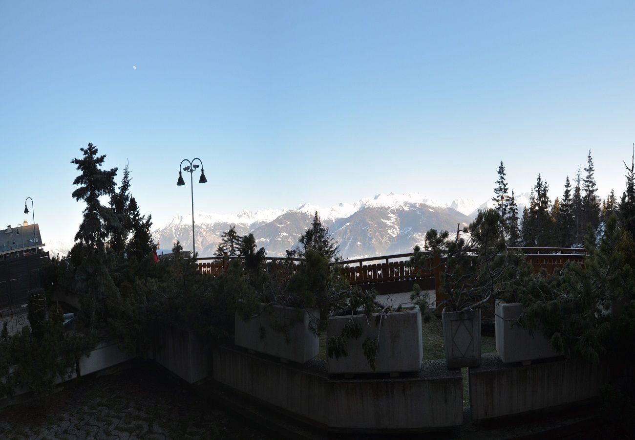 Apartment in Anzère - AV1 006