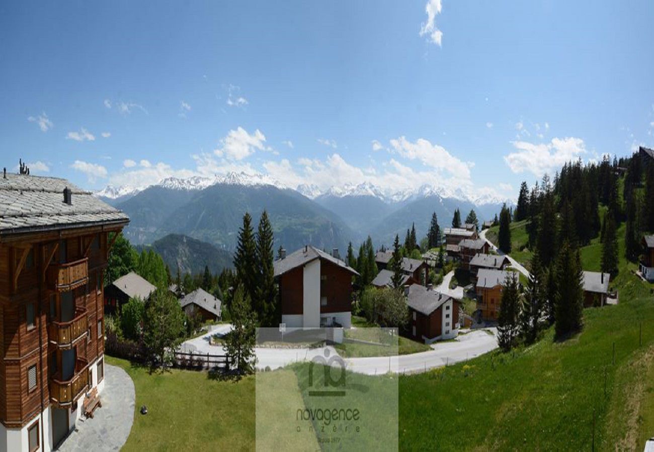 Apartment in Anzère - Ancolie 6