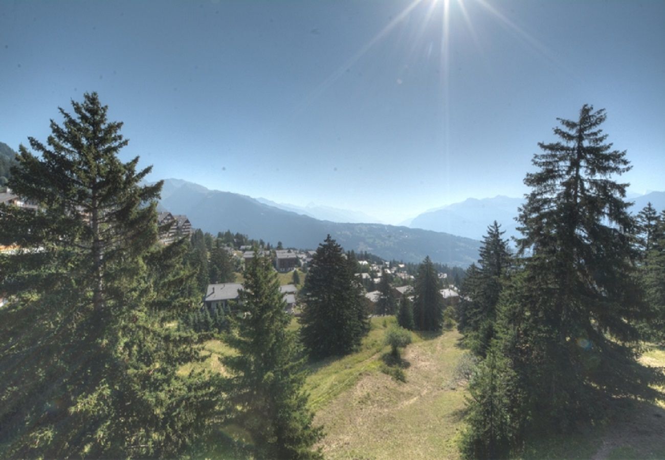 Apartment in Anzère - Pollux 23