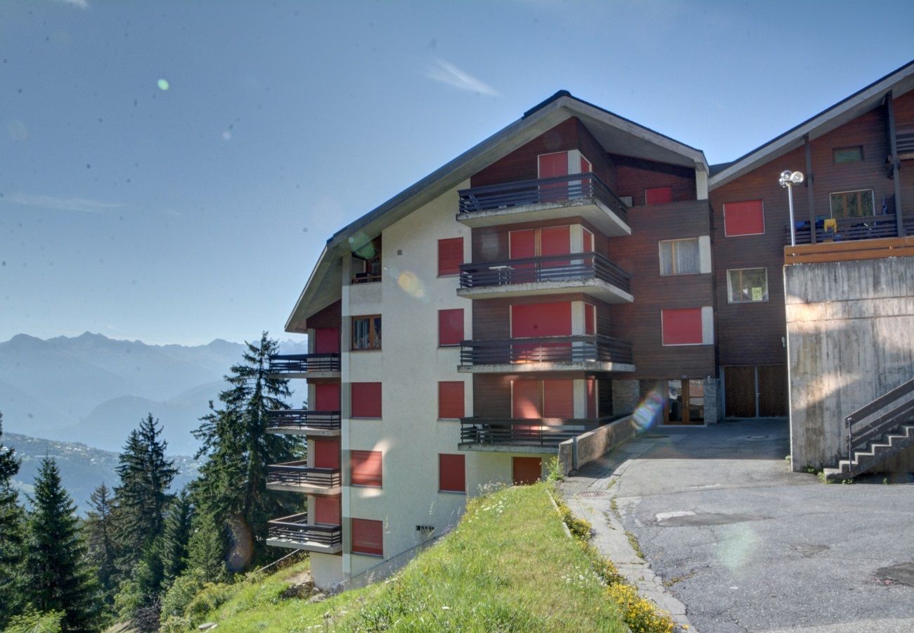 Studio in Anzère - Pollux 25