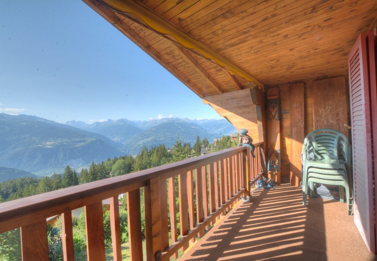 Apartment in Anzère - Pas de l'ours 3