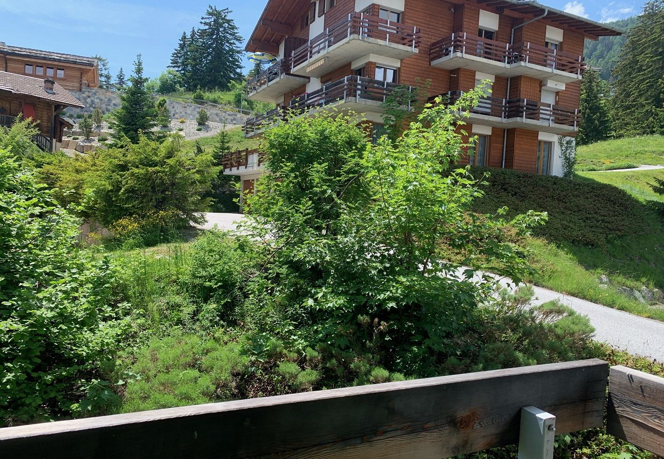 Apartment in Anzère - Edelweiss F 804