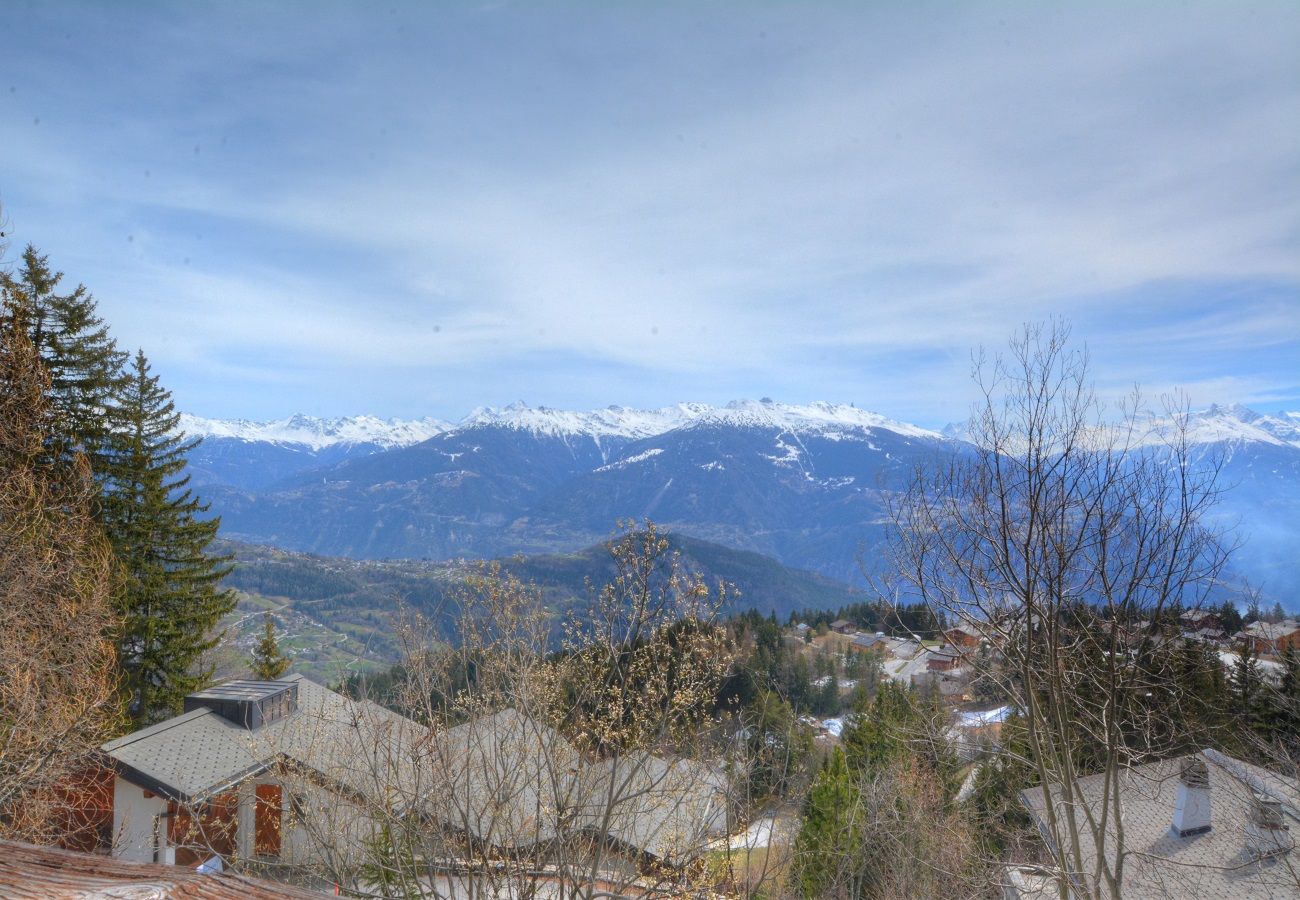 Chalet in Anzère - Dix  loups