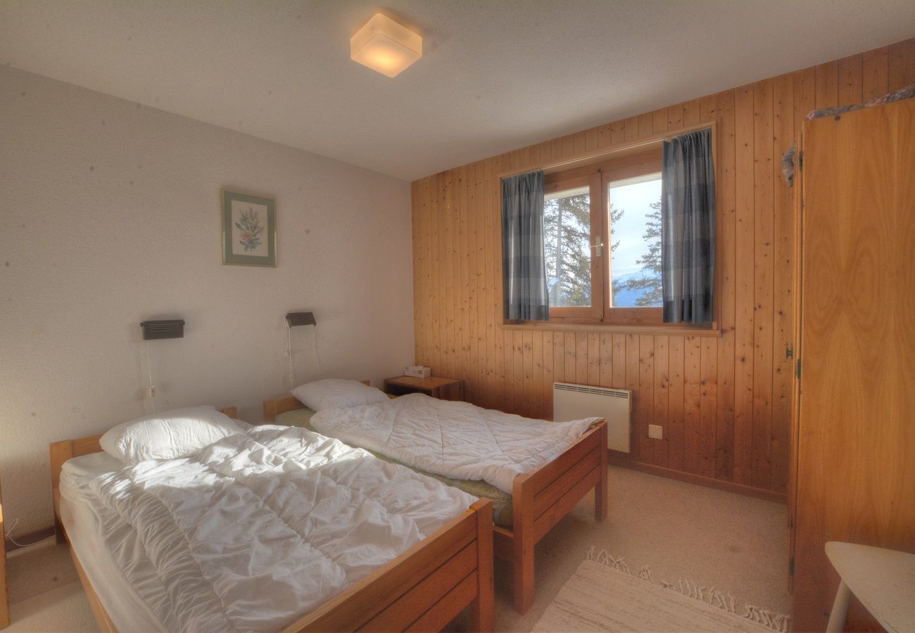 Chalet in Anzère - Johnson