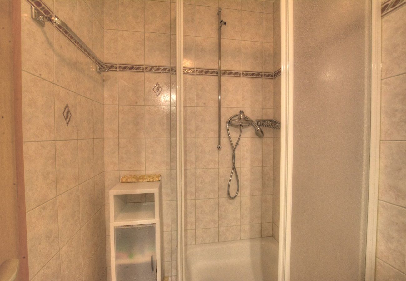 Chalet in Anzère - Johnson