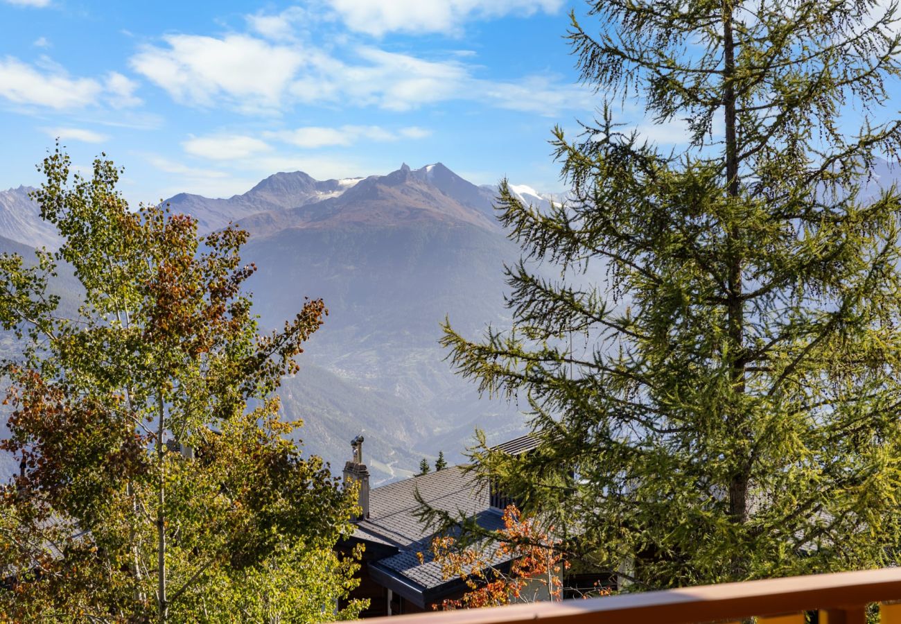Chalet in Anzère - Copacabana