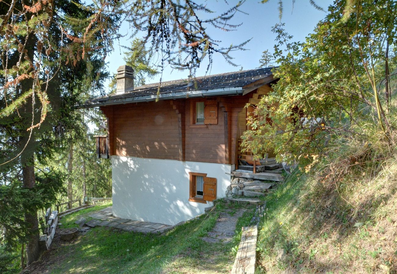 Chalet in Anzère - Gopaja