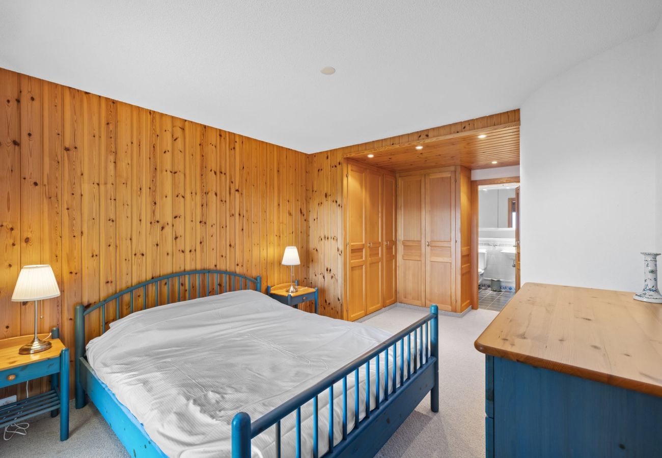 Chalet in Anzère - La Frenaie