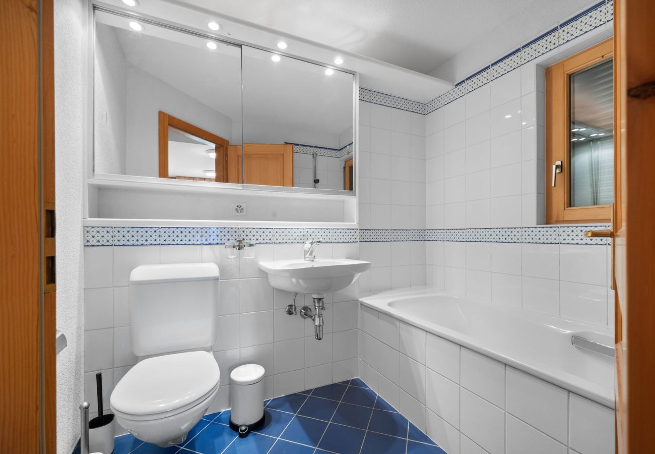 Chalet in Anzère - La Frenaie